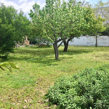 Salento Appartamenti كاسالابات المظهر الخارجي الصورة