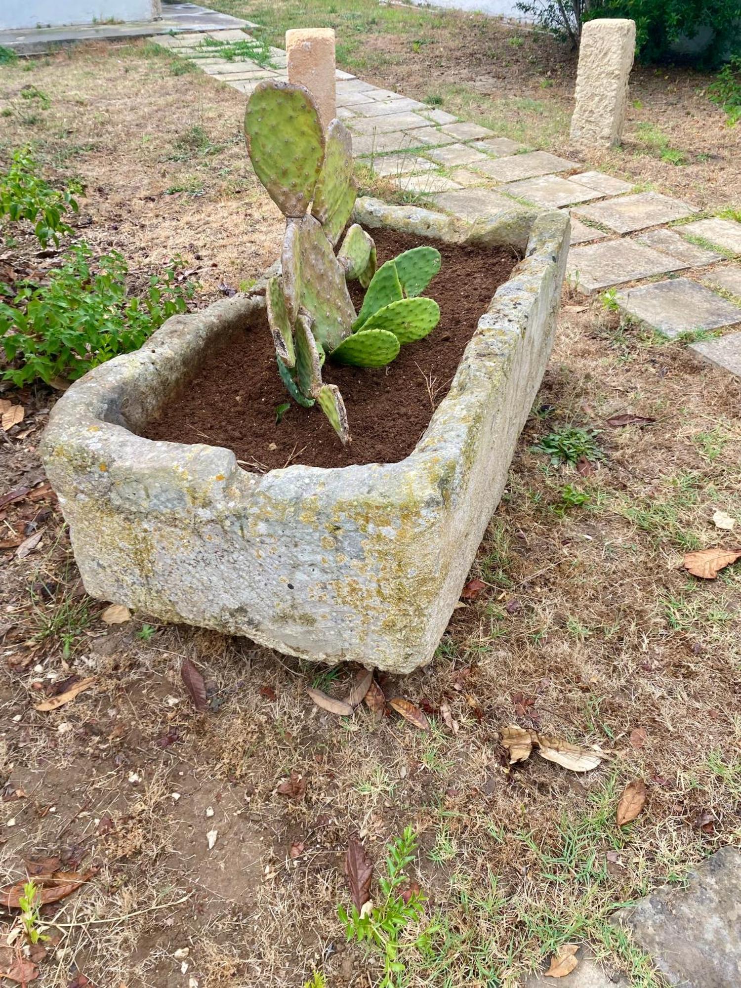 Salento Appartamenti كاسالابات المظهر الخارجي الصورة