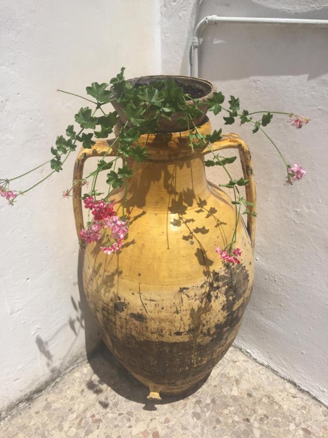 Salento Appartamenti كاسالابات المظهر الخارجي الصورة