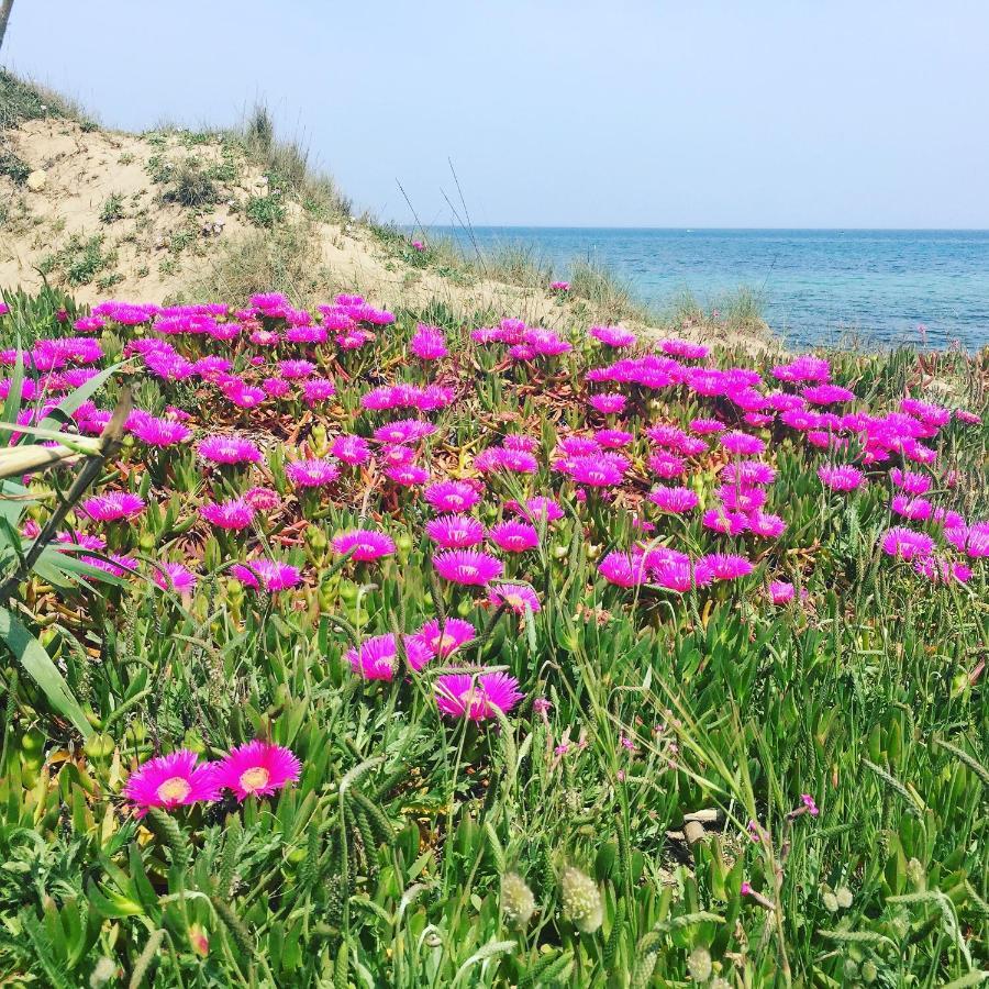 Salento Appartamenti كاسالابات المظهر الخارجي الصورة